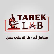 Kidney Function Test